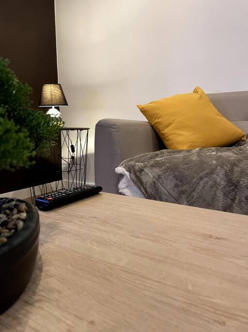 Villa Gaby ~ Jardinet ~ Hyper-Centre Pau Ngoại thất bức ảnh